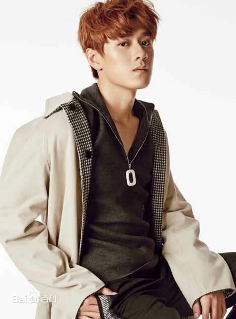 恨君不似江楼月陈余之