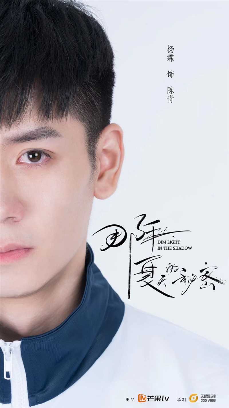 那年夏天的秘密电影版陈青