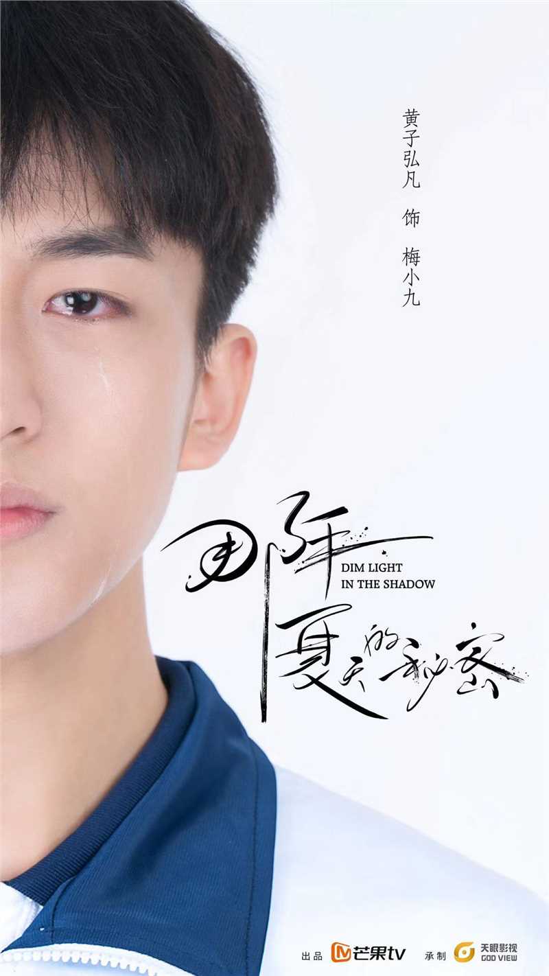 那年夏天的秘密电影版梅小九