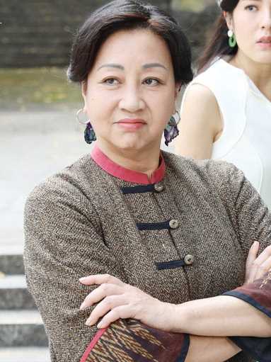 铁拳英雄国语丁细凤