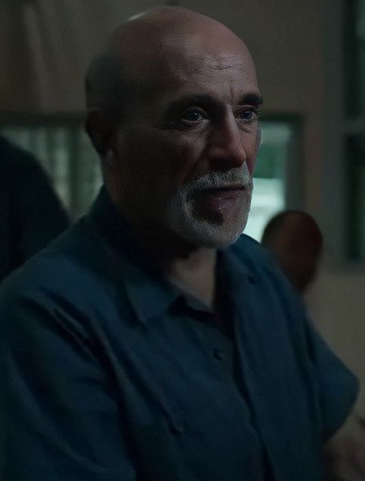 黑鸟文森特·吉甘特