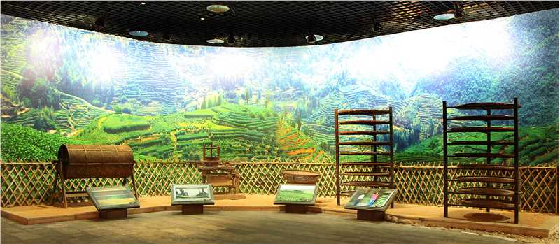 福建省是乌龙茶的故乡，台湾所产制的乌龙茶其品种皆源自福建