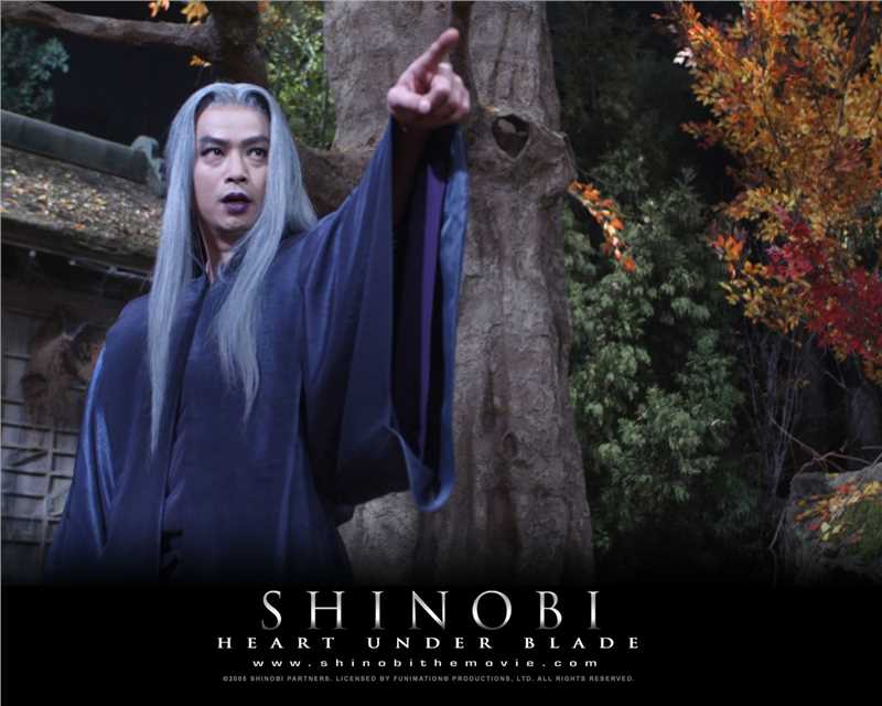 甲贺忍法帖药师寺天膳