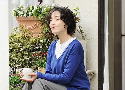 咕咕是一只猫小岛麻子