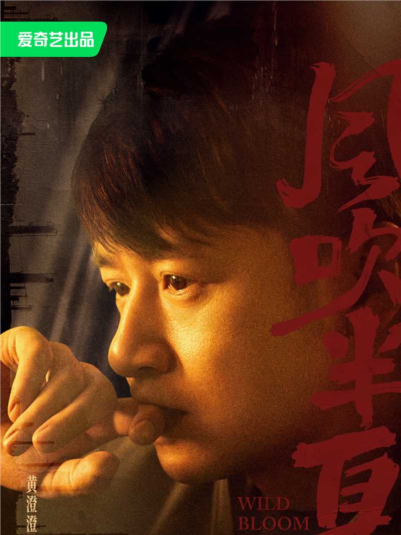 风吹半夏陈宇宙