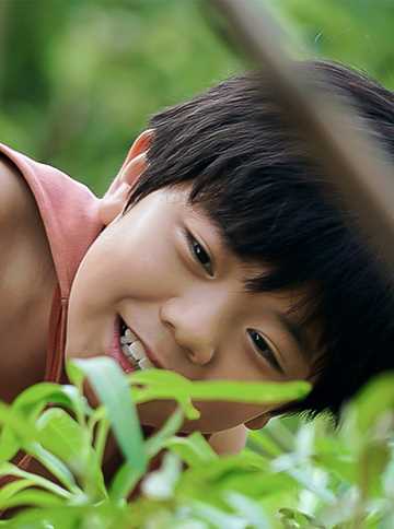 红尖尖火龙（青年）