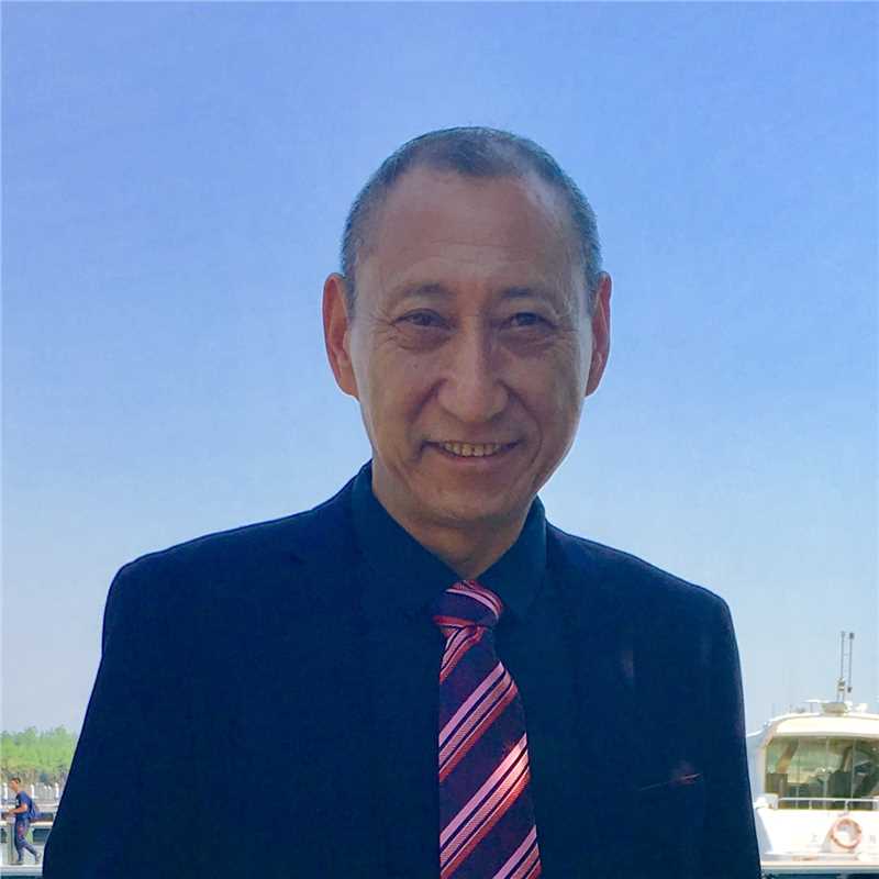 少年陈真之乱世英雄演员