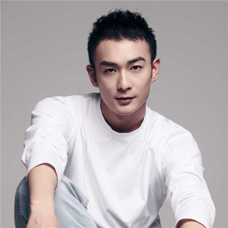 猛龙出击张子龙的扮演者是何翔