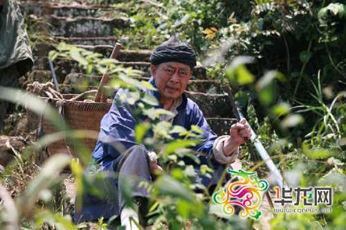 爱情天梯中老年石山