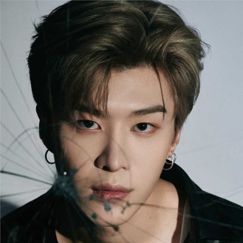 了不起的夜晚豹子