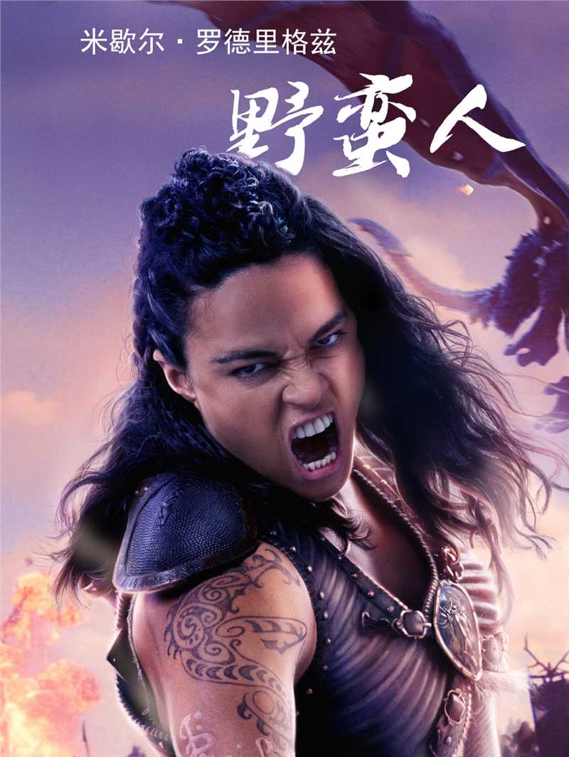 龙与地下城：侠盗荣耀霍尔盖